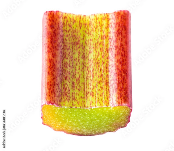Fototapeta Piece of cut rhubarb stem isolated on white background.