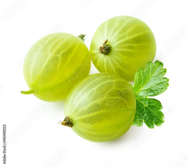 Fototapeta Green gooseberries with leaf isolated on white background. Group of three ripe green gooseberry berries and leaf.