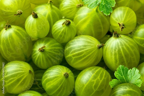 Fototapeta Green ripe gooseberries with leaves as background. Close up top view.
