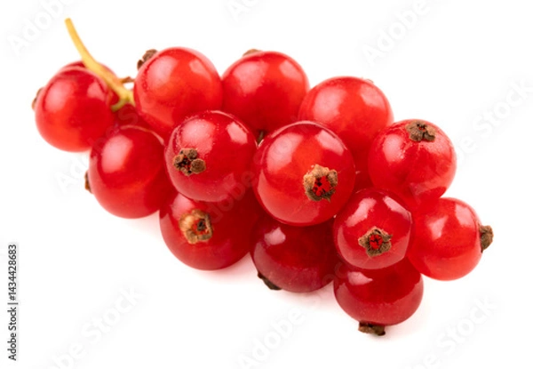 Fototapeta Red currant isolated on a white background.