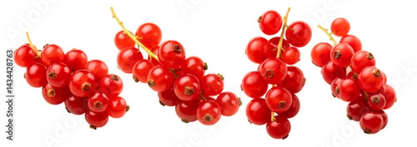 Fototapeta Set of red currants isolated on a white background.