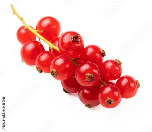 Fototapeta Red currant isolated on a white background.