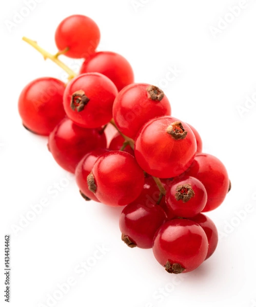Fototapeta Red currant isolated on a white background.