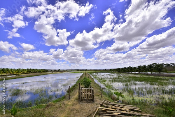 Obraz Landscape. Brazil