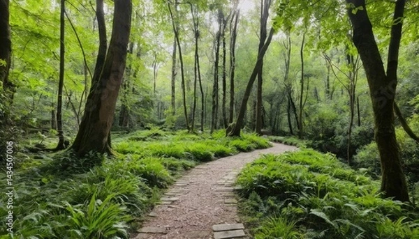 Obraz A green footpath meanders through the trees in the summer woods, a natural path for a peaceful walk amidst the foliage