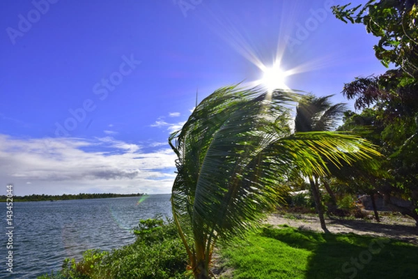 Obraz Portraits of the Word. Brazil