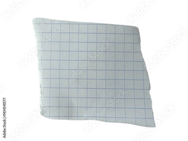 Fototapeta Torn Notebook Paper for Office Notes