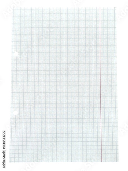 Fototapeta Graph Paper with Binder Holes and Red Line on Transparent Background.
