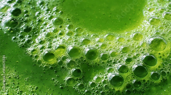 Fototapeta Close Up View Of Green Liquid Slime With Bubbles Showing Texture And Brightness