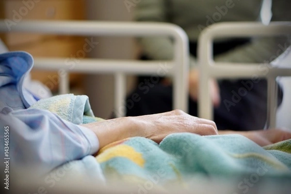 Fototapeta 穏やかな面会の時間