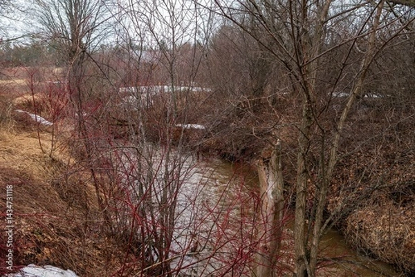 Fototapeta High water in a stream