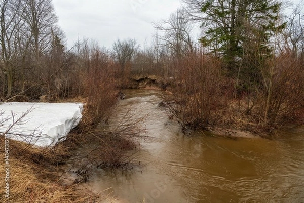 Fototapeta river in spring