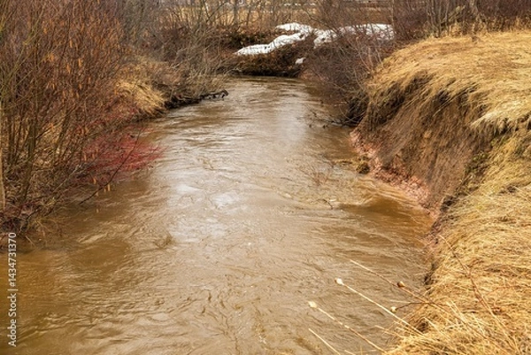 Fototapeta Flooded stream in the forest