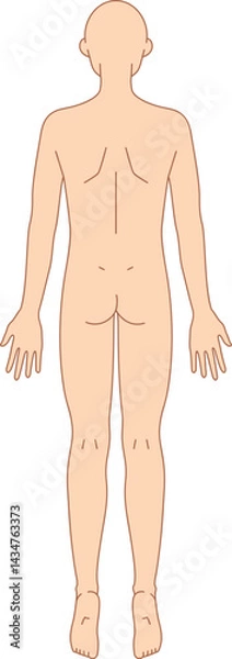 Fototapeta 後ろ姿の男性のシンプルなヌードイラスト