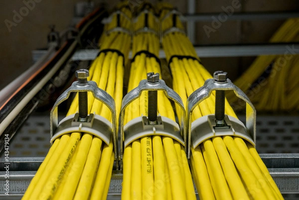 Fototapeta Yellow network cables