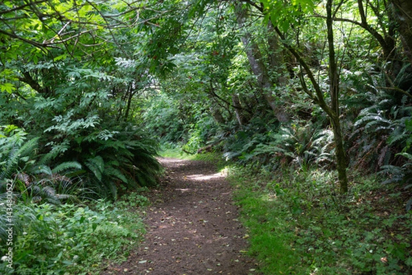Obraz Cape Disappointment State Park