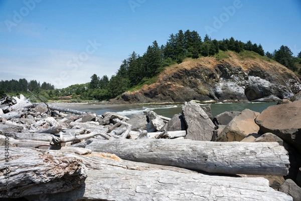 Obraz Cape Disappointment State Park