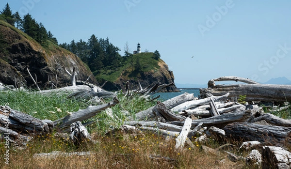 Obraz Cape Disappointment State Park