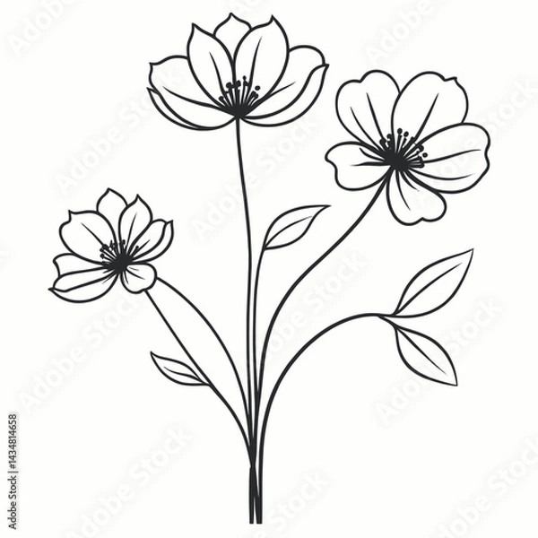 Fototapeta Elegant Line Art Flowers Botanical Illustration with Simple Floral Design Perfect for Print or Digital Use