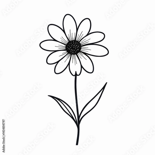Fototapeta Elegant Line Drawing of a Daisy Flower with Stem and Leaves on White Background