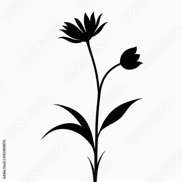 Fototapeta Elegant Black Silhouette of Blooming Flowers Botanical Illustration with Simple Stem and Leaves Perfect for Design Projects
