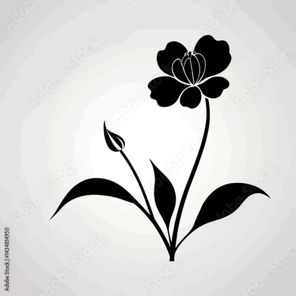 Fototapeta Elegant Black Flower Silhouette Botanical Illustration with Bud and Leaves on Transparent Background