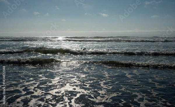 Obraz Cape Disappointment State Park