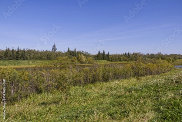 Fototapeta Pylypow Wetlands in the Summer