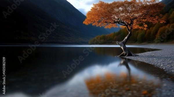 Obraz Autumnal lake scene with a lone tree reflecting.  Tranquil autumn colors meet still water
