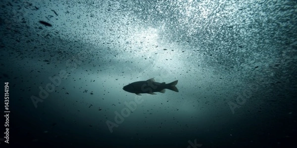 Fototapeta Microscopic view of microfibers entwined with plankton, revealing how plastic infiltrates the marine food chain under a dark, polluted ocean