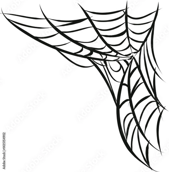 Fototapeta a spider's web