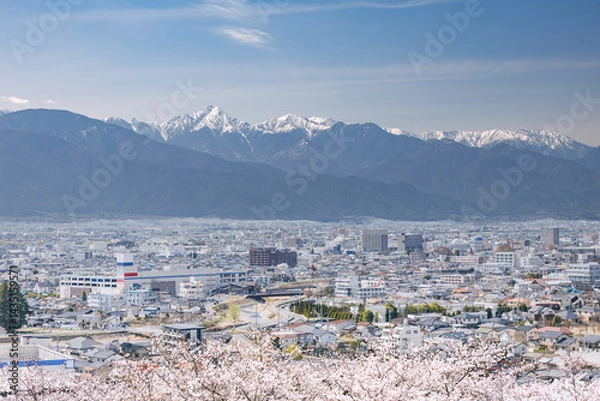 Fototapeta 弘法山古墳頂上から見た松本市街と冠雪の北アルプスの山々