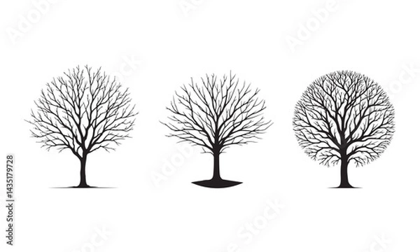 Obraz  Set of a bare tree with stark black branches vector art illustration on white background