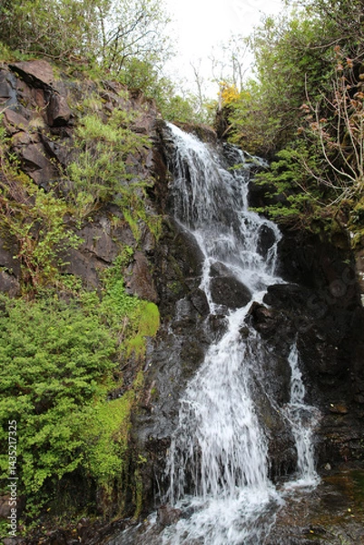Fototapeta Waterfall in the park of Dunvegan Castle on the Isle of Skye, Scotland