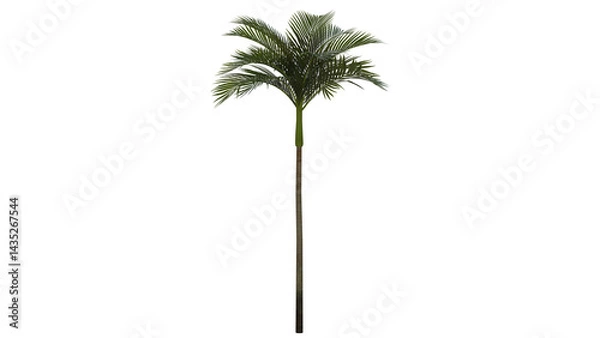 Obraz Tropical Tree