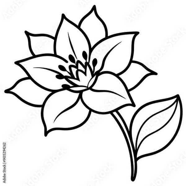 Fototapeta Minimal Wild Bloom Vector on White