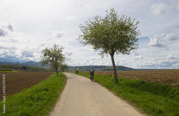 Fototapeta Cyclistes sur une route de campagne au printemps