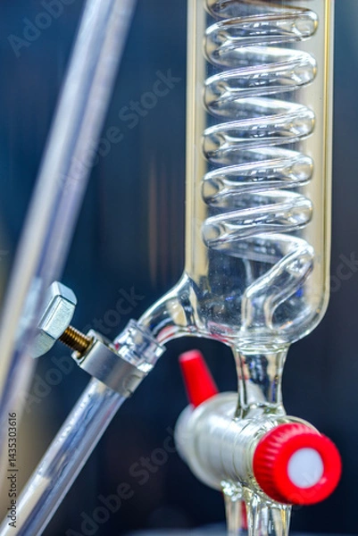 Obraz Laboratory apparatus showcases detailed design of a glass condenser with spiral tubing for efficient cooling during distillation experiments