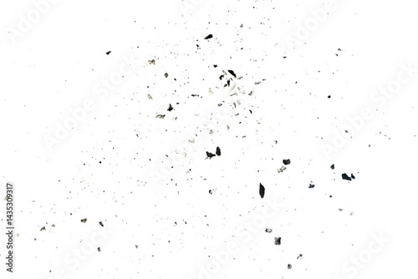 Fototapeta ash particle isolated on transparent background