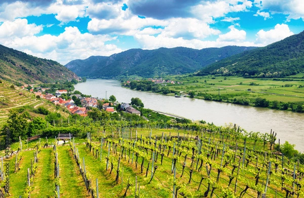 Fototapeta View from castle Hinterhaus in Spitz Wachau Austria with Danube river and vineyards