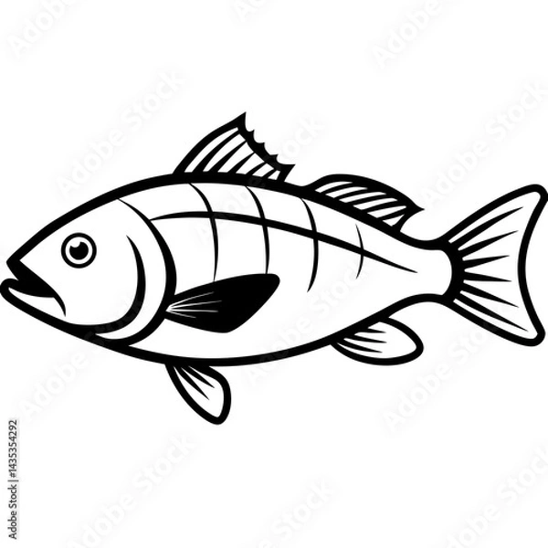 Obraz Minimal Barramundi Fish Vector on White