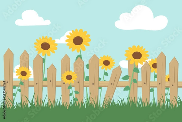 Fototapeta Sunflowers in the garden and a wooden fence. Beautiful sunflowers, fence and green grass against the blue sky and clouds. Vector illustration of a garden with sunflowers near a fence.