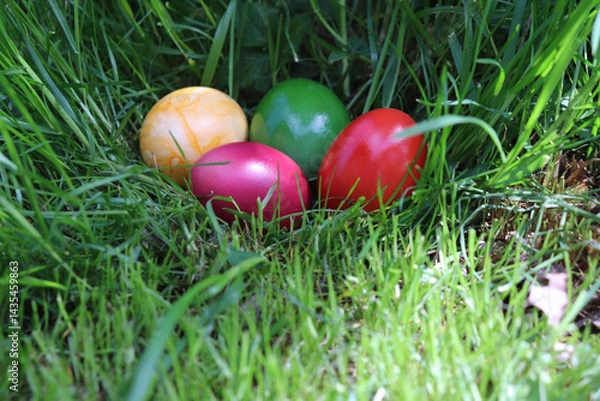 Fototapeta bunte Eier