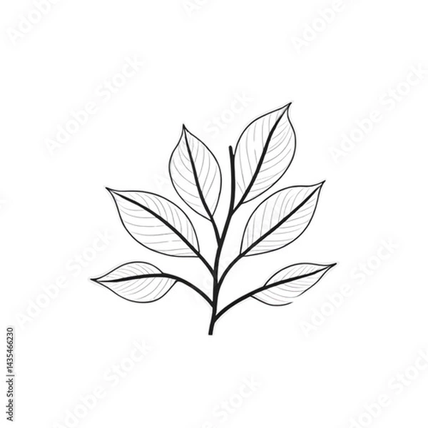 Fototapeta Branch with leaves botanical simple nature art