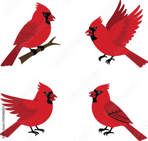 Obraz set of red birds, cardinal bird icons in a silhouette vector style against a clean white background