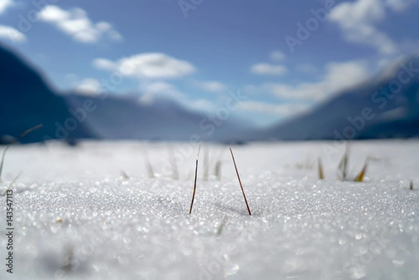 Fototapeta Schneeschmelze