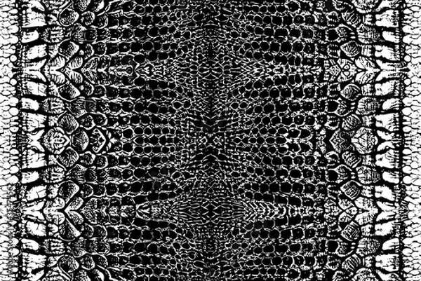 Fototapeta Detailed Symmetrical Reptile Skin Texture in Black and White Vector