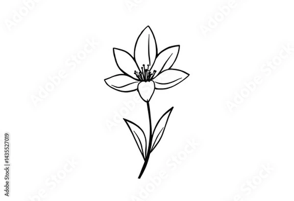 Obraz flower outline simple