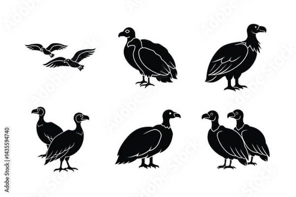 Obraz Vulture In Aggressive Flight Vector