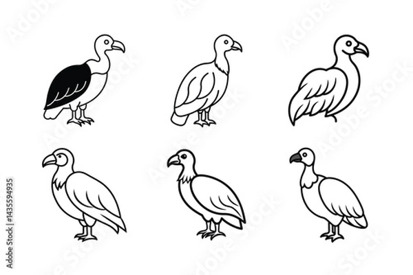 Obraz Soaring Vulture Vector With Powerful Wings